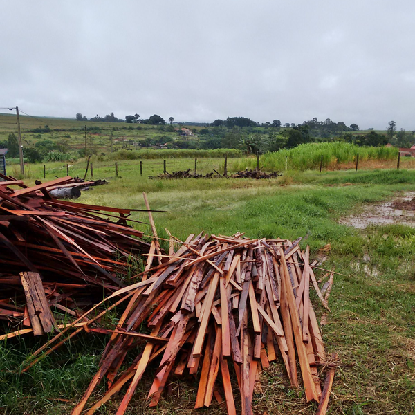 Sobras/residuos das madeiras serradas - madeira - Piracicaba, SP - B2Blue - Compra e Venda de Resíduos