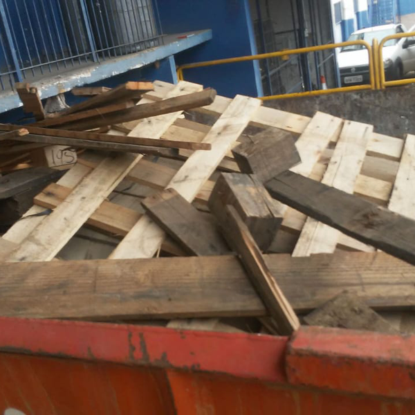 Madeira - madeira - Belém, PA - B2Blue - Compra e Venda de Resíduos