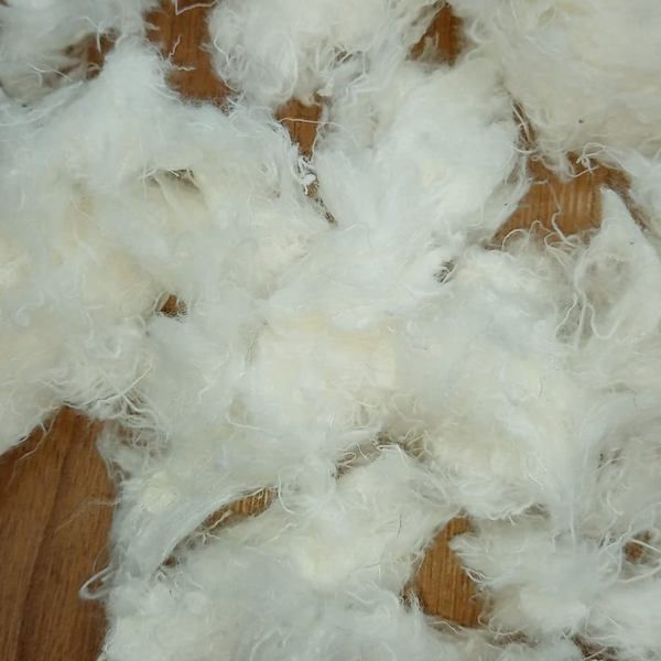 Resíduo: Desfibrado - B2Blue  - Compra e Venda de Resíduos