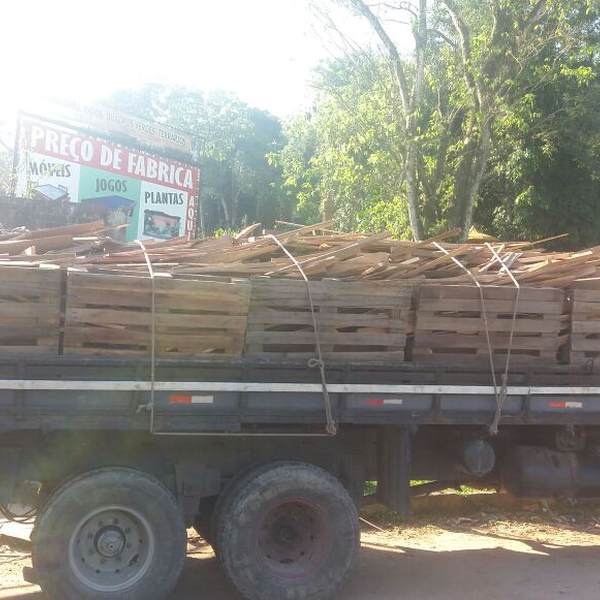 Apara de madeiras e serragem - madeira - Guapimirim, RJ - B2Blue - Compra e Venda de Resíduos