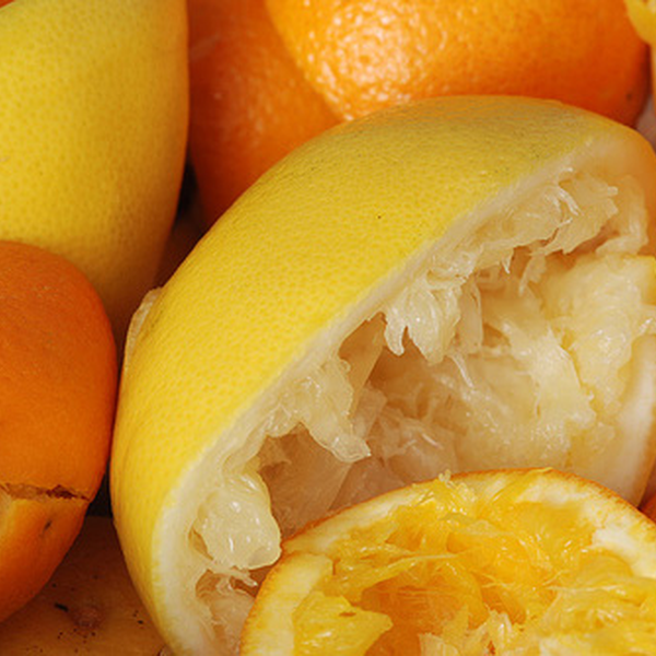 Resíduo: Bagaço de laranja. sucatas ferrosa tubos - B2Blue  - Compra e Venda de Resíduos