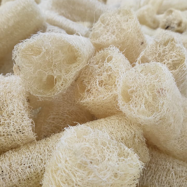 Resíduo: Retalhos de bucha vegetal - B2Blue  - Compra e Venda de Resíduos