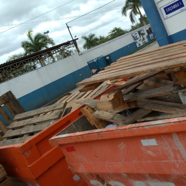 Madeira - madeira - Volta Redonda, RJ - B2Blue - Compra e Venda de Resíduos