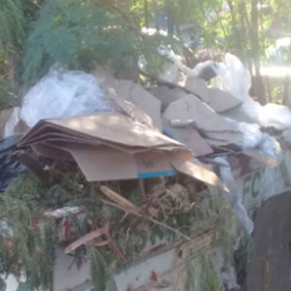 lixo/rejeito - Orgânicos