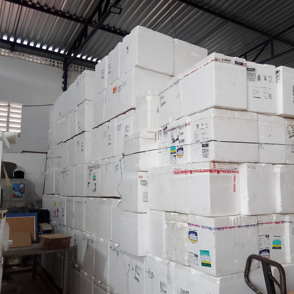 Caixas de isopores - plástico - Fortaleza, CE - B2Blue - Compra e Venda de Resíduos