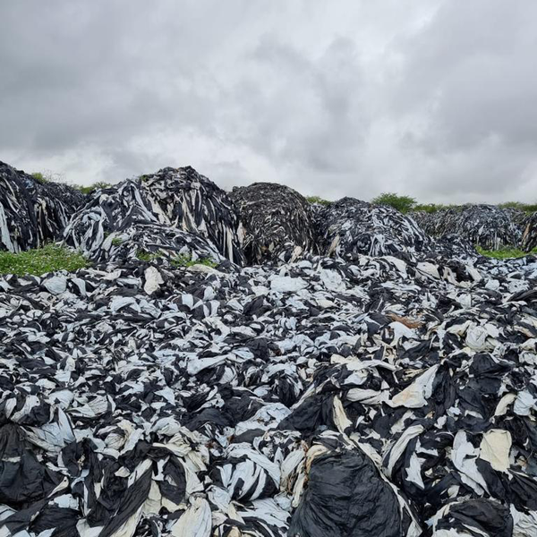 Lona mulching - outros - Brasília, DF - B2Blue - Compra e Venda de Resíduos
