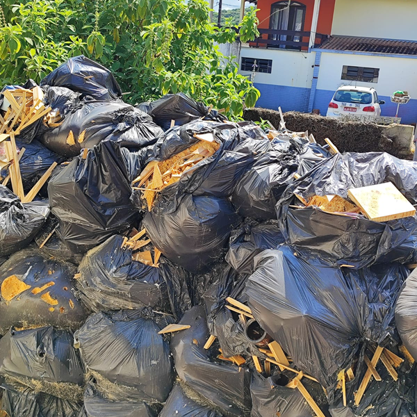 Pinus - madeira - JOINVILLE, SC - B2Blue - Compra e Venda de Resíduos