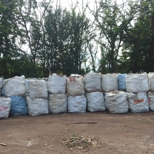 Palete - madeira - LAGOA DA PRATA, MG - B2Blue - Compra e Venda de Resíduos