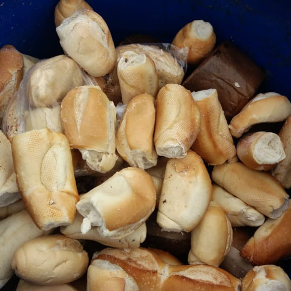 Orgânico - Orgânicos