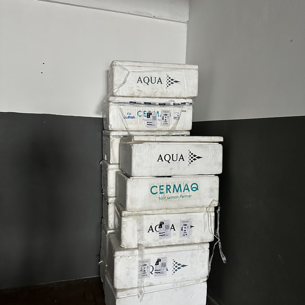 Isopor caixa - outros - SAO PAULO, SP - B2Blue - Compra e Venda de Resíduos